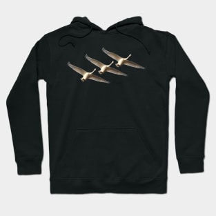 Trumpeters Trio Hoodie